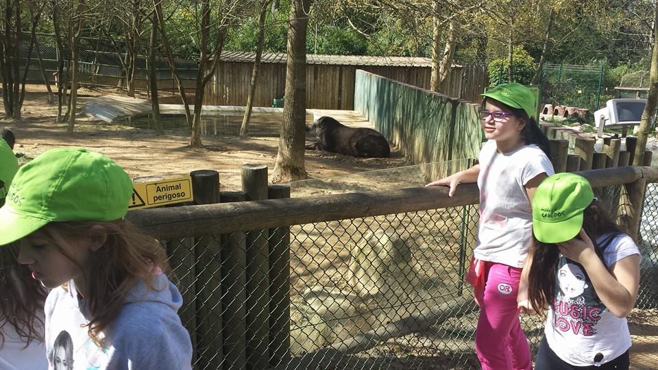 Zoo Santo Inácio